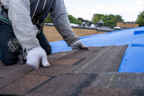 Best Roof Gutter Cleaning  in Cusseta, GA