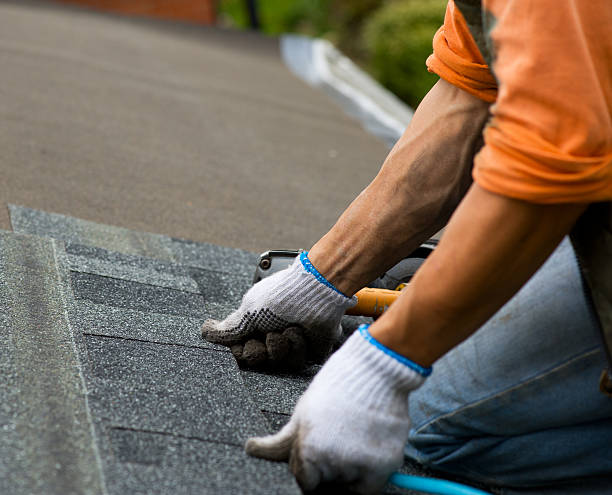Best Metal Roofing Contractor  in Cusseta, GA
