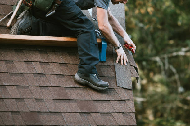 Roof Gutter Cleaning in Cusseta, GA